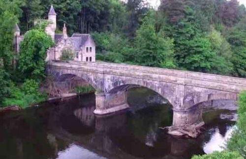 The Orchard Apartment, Clyde Valley - Foto 21