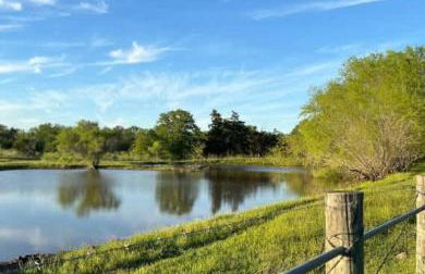 Relaxing Ranch Friendly Animals Modern Stay Cabin 1 - Foto 23