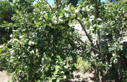 Casa do Paço - Foto 50