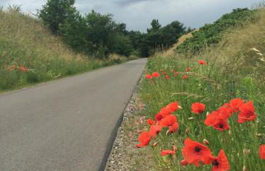 Ferienwohnung Felix - Photo 7