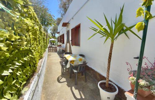 Villa Maica - Photo 68