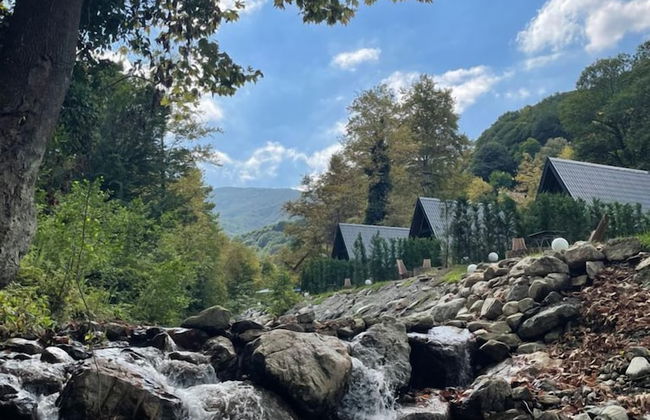 BLS Bungalove Sapanca - Foto 28