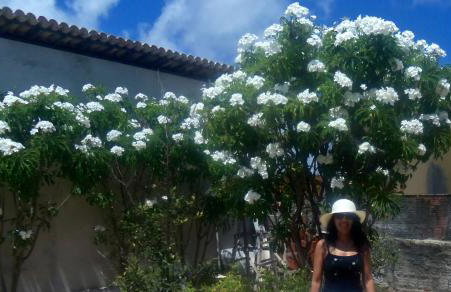 Casa operete - Foto 20