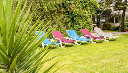 Quinta dos Pinheiros - Foto 4, Garden, Garden view