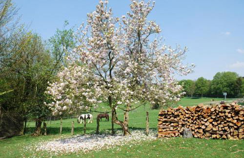 Stöltings Landhaus - Foto 50