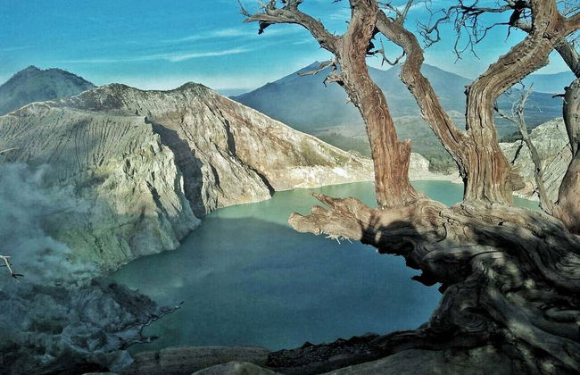 Mount Bromo Sunrise Day Trip - Photo 5