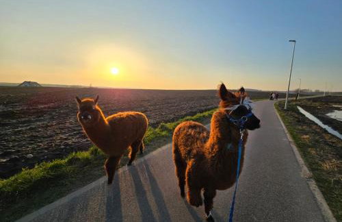 Agroturystyka Kaszuby Villagehome - Foto 57
