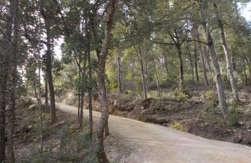 Ormanni nel Chianti Classico - Foto 108