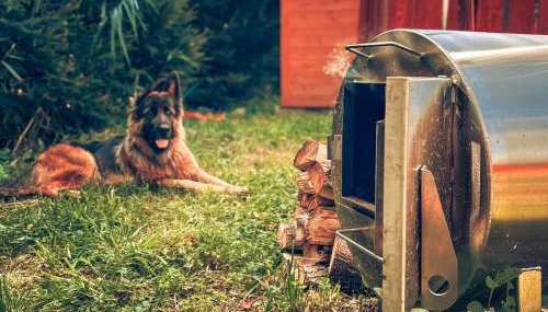 Osada Puszczy Śpiew - Foto 3, Garden