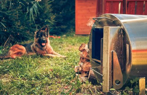 Osada Puszczy Śpiew - Foto 3