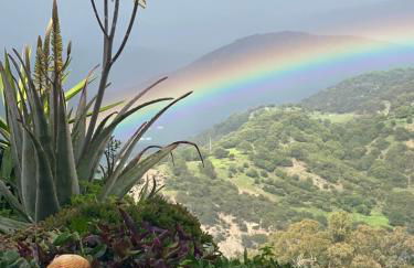 Alojamiento Armenia Patio - Foto 47