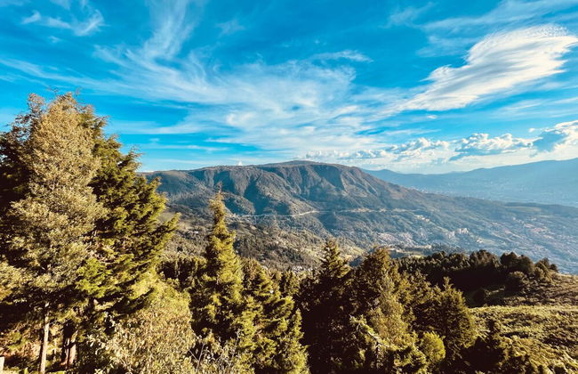 Skyline Ecoliving - Foto 64