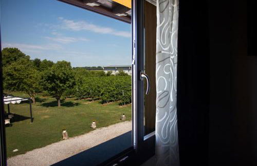 Agriturismo Tiare dal Gorc - Photo 38