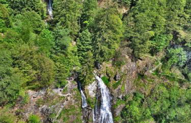 Ferienwohnung im Haus Rhea am Südhang- Feldberg- Falkau - Foto 17