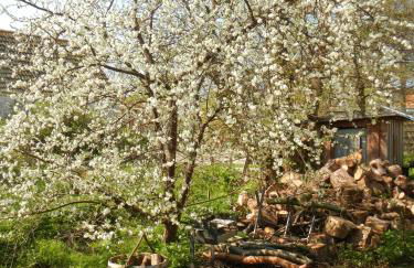 Schreinerhaus - Foto 12