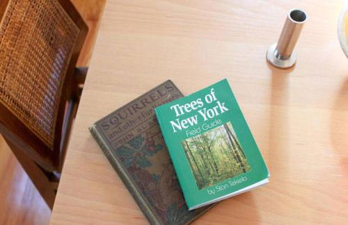 Bellwood Cottage 8-14min to all Roxbury Wed Venues - Foto 14