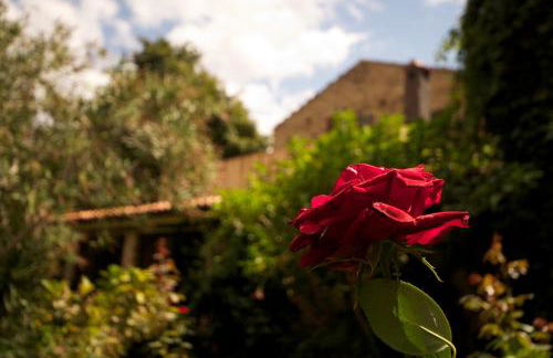 Agriturismo Boccadifuoco - Foto 12