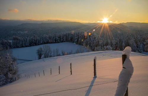 Ferienwohnung in Schiltach - Foto 77