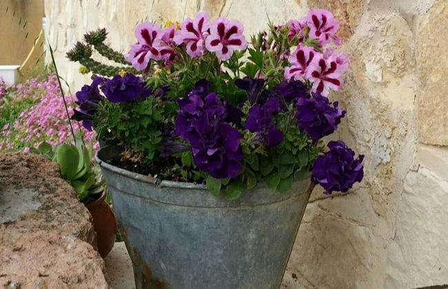 Casa Rural El Camino Real - Foto 25