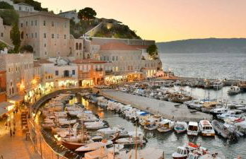 Hydra Erato - Foto 35