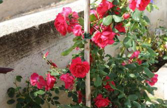 Apartment Odak - Foto 57