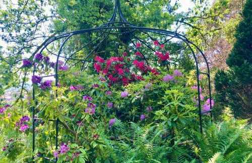 Haus Haselmaus - Zaunkönig - Foto 6