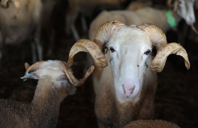 Vumba - The Alembic - Foto 30