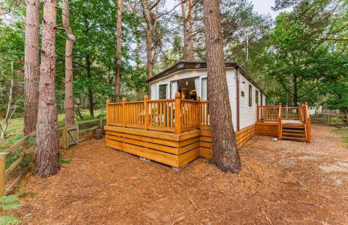 The Pines - Norfolk Cottage Agency - Photo 1