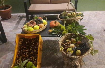 Maso Tobel Riva del Garda - Photo 96