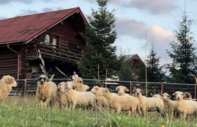 Stunning 4-bed Chalet in Bran With Superb Panorama - Foto 11