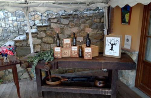 Agriturismo Tenuta Cantagallo - Foto 21