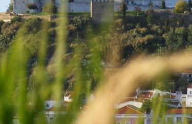 Santa Luzia - Foto 21