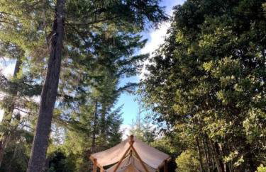 Secluded Safari Tent Perfect for a Glamping Getaway near Blue Lake, California - Foto 18
