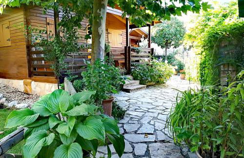 Cabañas los Pinos Arroyo Frio - Foto 27