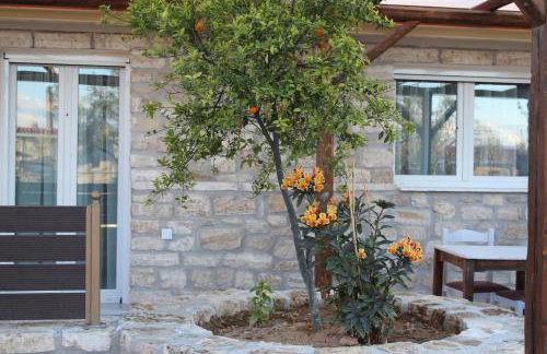 Acrocorinth Apartments - Foto 43
