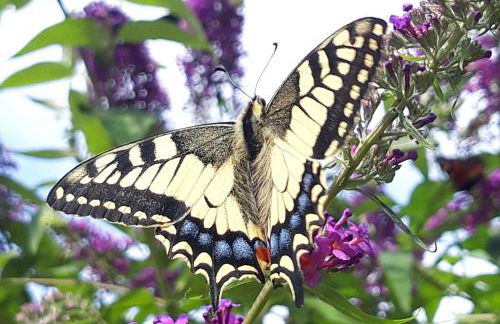 Casa Karp "Maisonette" - Foto 19