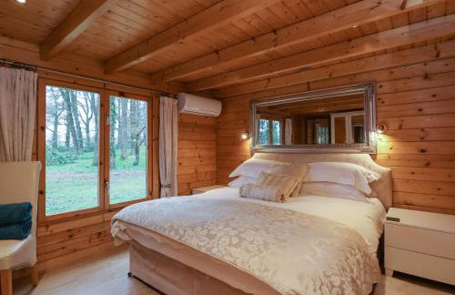 Woodpeckers - Photo 17