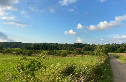 Feel-Harmonia w Nowym Kawkowie - Foto 31