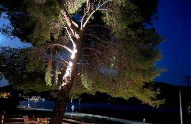 Pinelopi’s House - Foto 29