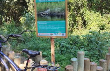 Studio Arte e Natureza - Photo 15