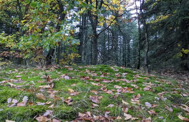 4 Star Holiday Home in Brande - Foto 25