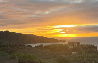 Musa Paradisiaca - Foto 36