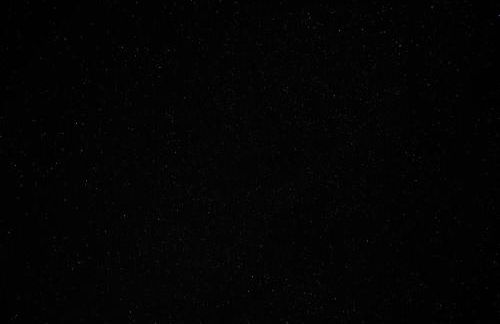 Homnest - Clairiere des Animaux - 1h de Toulouse - Photo 28