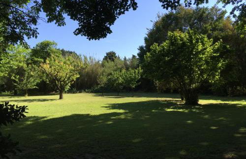 Le Cabanon - Photo 31