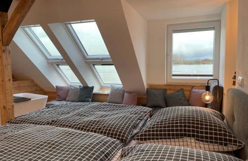 Sonnenschein - Foto 22