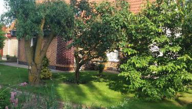 Studio in Usedom - Insel Usedom 2319 - Foto 4, Garden