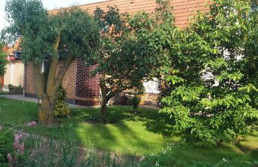 Studio in Usedom - Insel Usedom 2319 - Foto 4