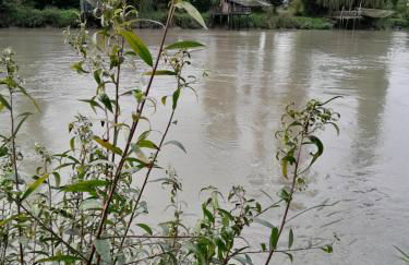 Moulin de la Licorne - Foto 16