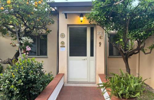 Nel giardino di Nunziatina - Photo 18