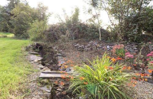 Y Felin at Coed Cadw - Foto 36